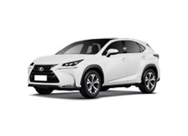 NX