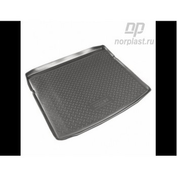 NPL-P-12-10